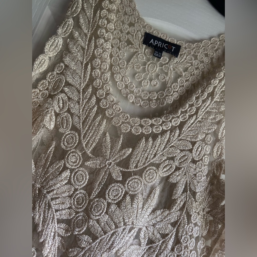 APRICOT Sheer Metallic Sparkle Embroidered Tank Top Fairy Whimsigoth Boho | Sz M - Picture 5 of 16